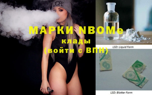 гидра Вязьма