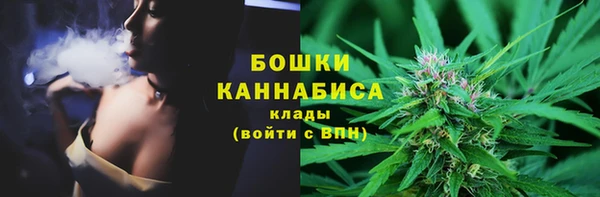 гидра Вязьма