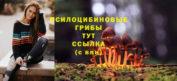 COCAINE Горняк