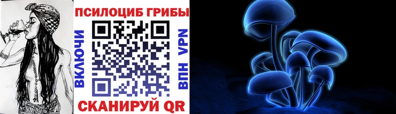 где купить   Славск  Псилоцибиновые грибы Psilocybine cubensis 